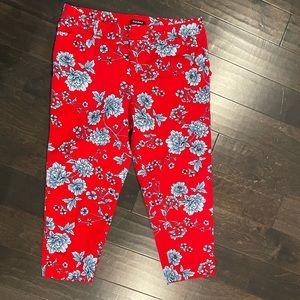 16W Roz & Ali Red Floral Capris